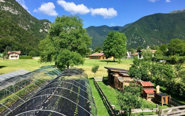 B&B Fattoria Dalla Patty