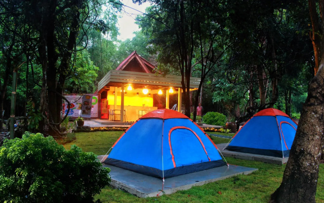 Mulberry at Pang Sita