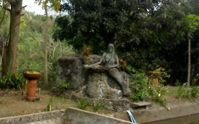 REX Habitat and Cultural Display Area