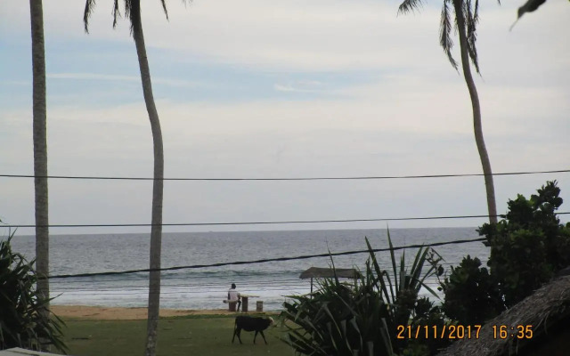 Coconut Surf Inn