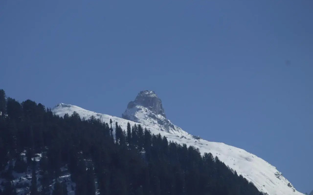 Hotel the moksha valley