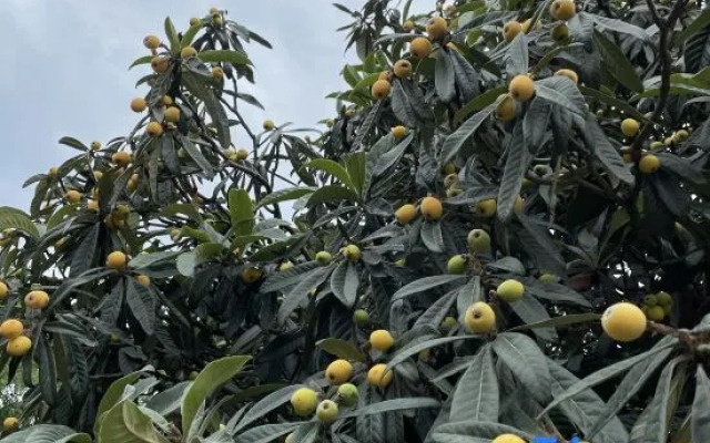 ShanYinShiGuang Hotel