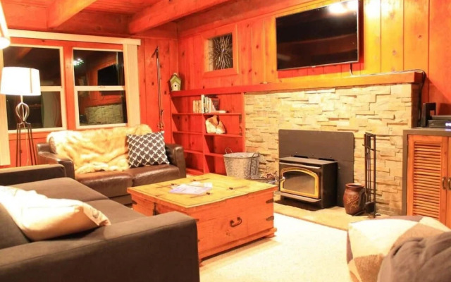 Fox St Criterion 54 - Aster