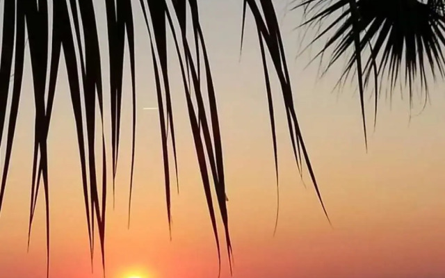 Palms Resort