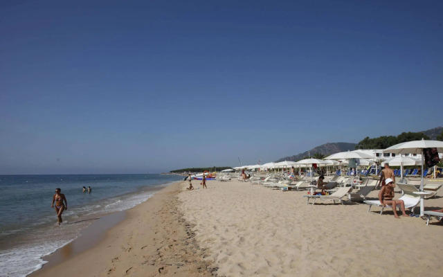 Hotel Flamingo Resort