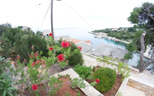 More - View on the sea - A1