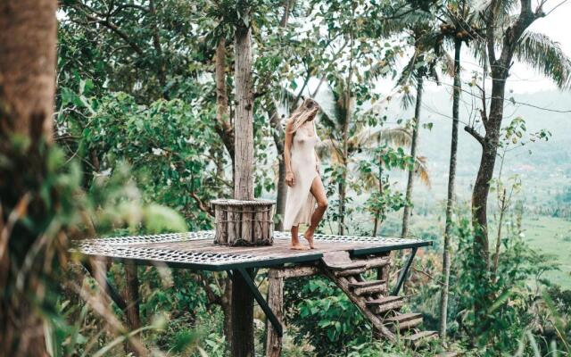 Bird Hills Bamboo House