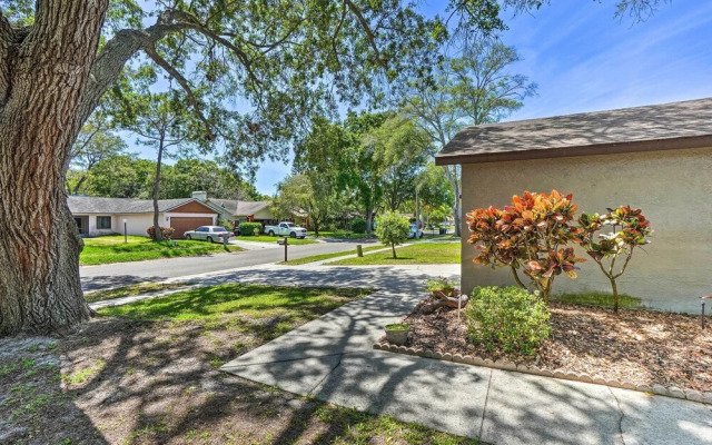 Clearwater Family Home w/ Private Hot Tub!