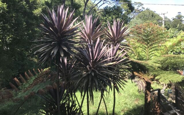 Mangerton Sweet Home