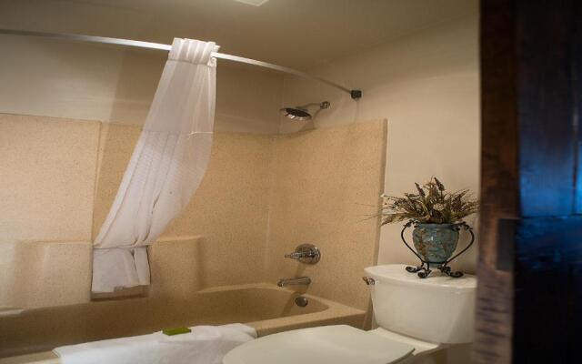 Hotel Parker at Quarter Circle 7