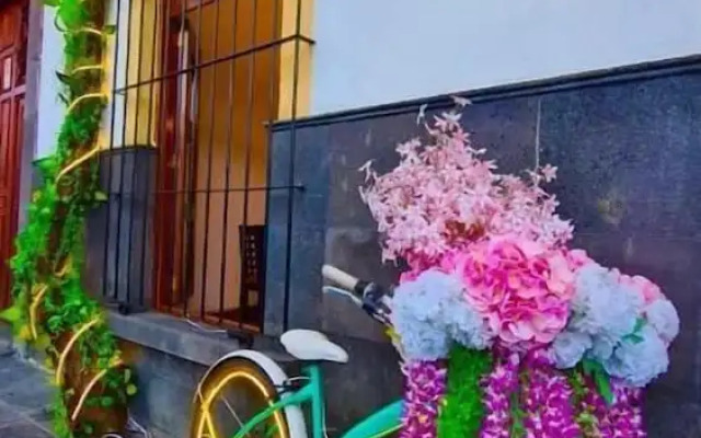 Hotel Boutique Pedregal