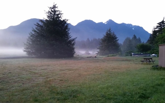Sayward On Sea