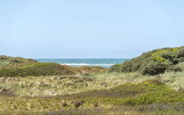 "Gerald" - 100m from the sea in NW Jutland
