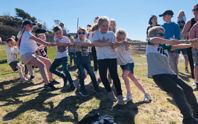 Saltviks Stugby & Camping