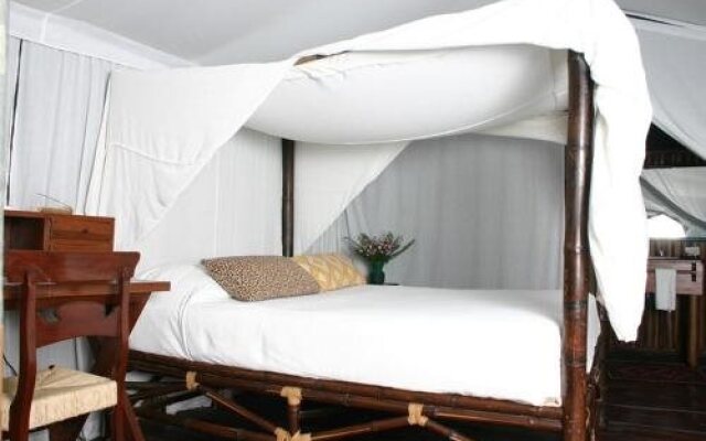 Expediciones Mexico Verde