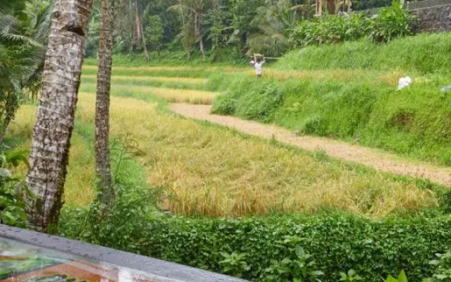 Ranggon d'tukad