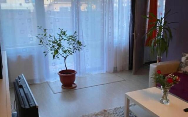 Oasis House