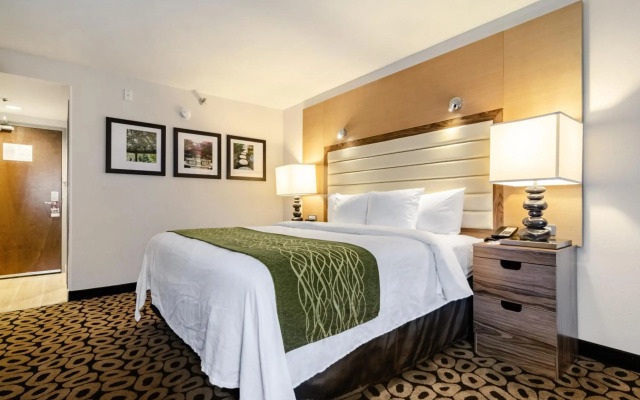 Comfort Inn Raleigh Midtown
