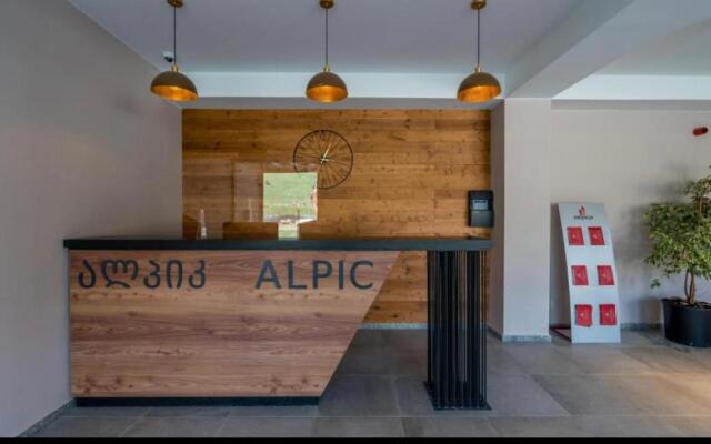 Gudauri Alpic
