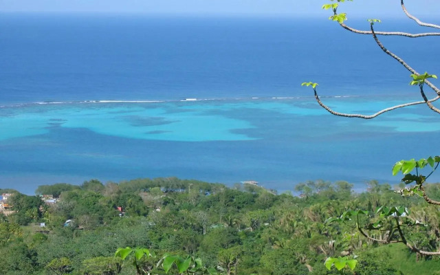 Roatan Bed & Breakfast Apartments