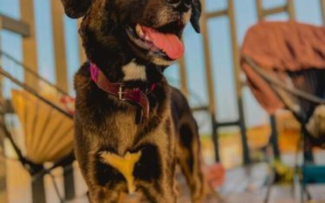 Aruma Hotel & Boutique