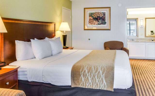 Clarion Inn Fredericksburg North