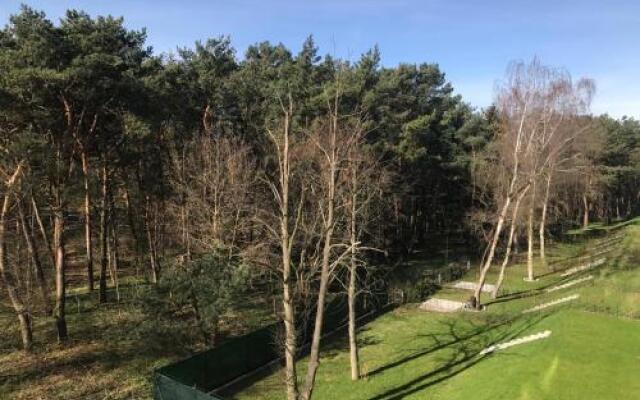 Blue Seaside Apartment