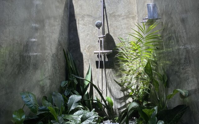 Wild Monkeys Hostel