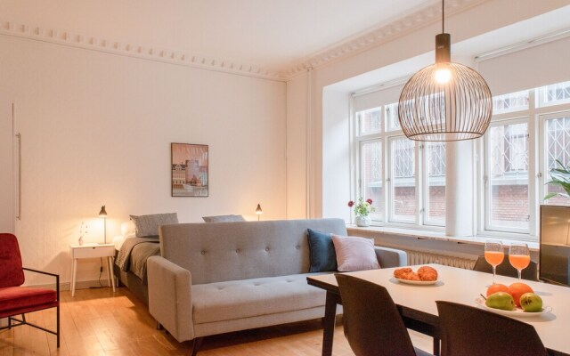 Cosy Apartment in the heart of Århus