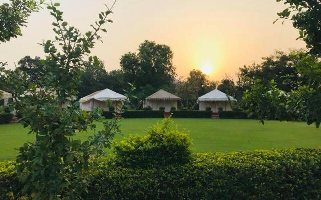 Ummaid Bagh Resort