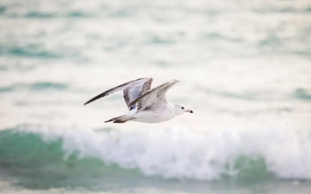 Nokomis Home Close to Beach