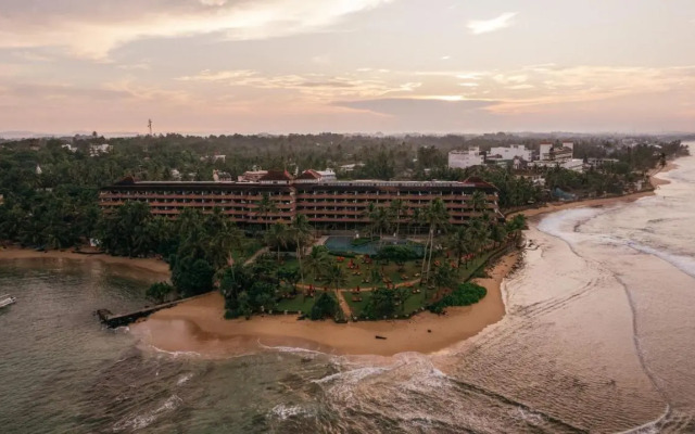 Hikka Tranz by Cinnamon