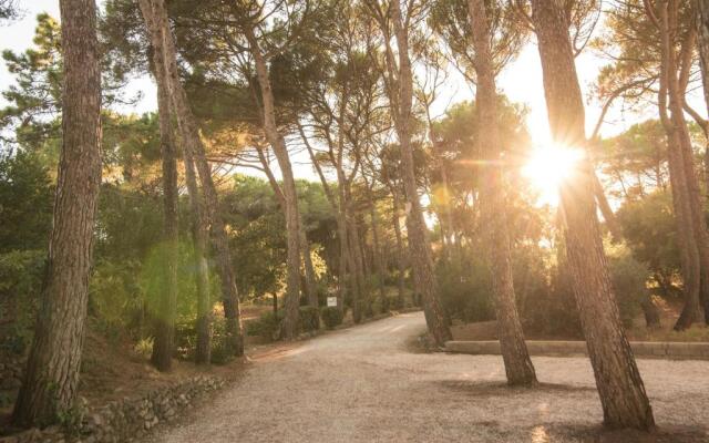 Csa Hotel Beach & Park