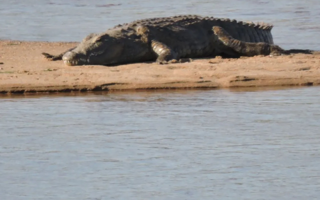 Umvangazi Rest - Enjoy a Relaxing, Rejuvenating and Peaceful Setting in the Bush