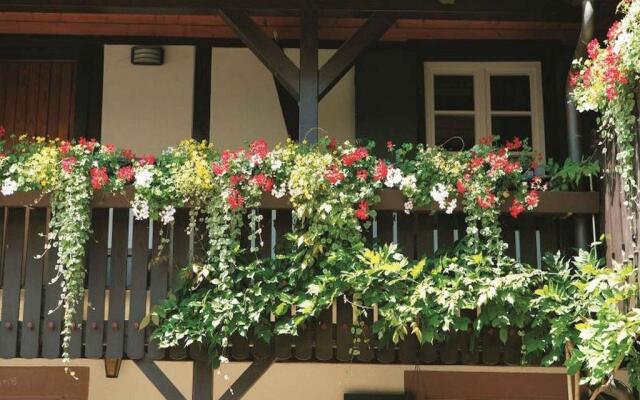 Weingut Alfred Huber