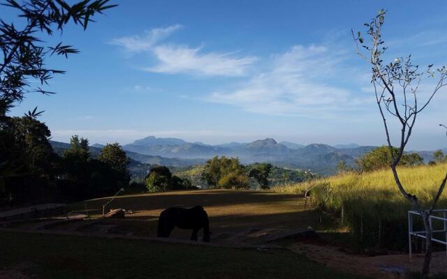 Yale Kandy Park