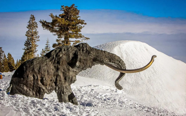 Mammoth Ski & Racquet Club #131