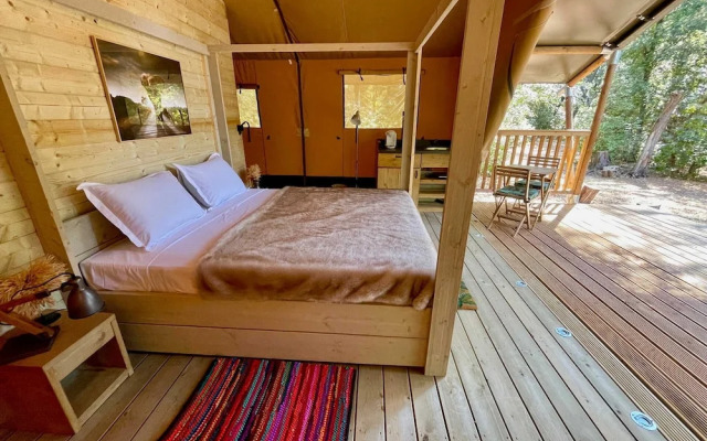 Chateau de Roquelune