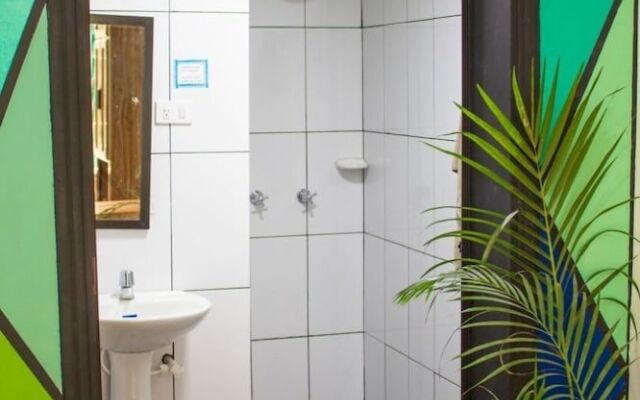 Medallo Social Hostal OPEN!