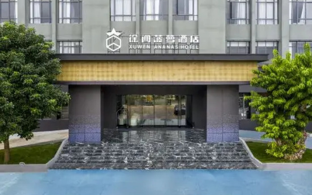 Xuwen Pineapple Hotel