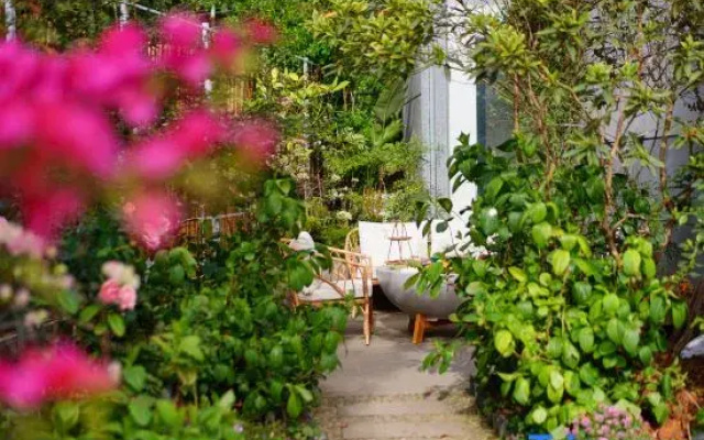 Yangshuo Lanruoting homestay