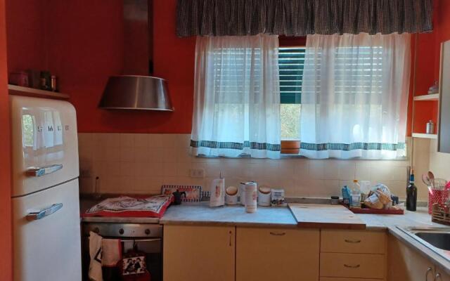 Home Sweet Home 1 Affittacamere - Lucca
