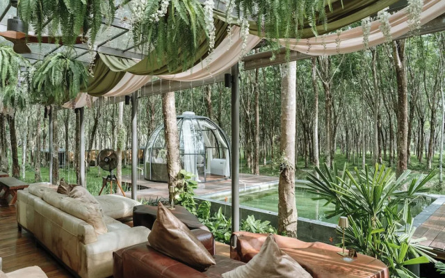Timber Society Boutique Hideaway