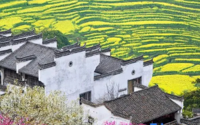 Wuyuan Leye Mountain House (Huangling Scenic Area Terraced Fields Flower Sea) – Outside – Shangrao