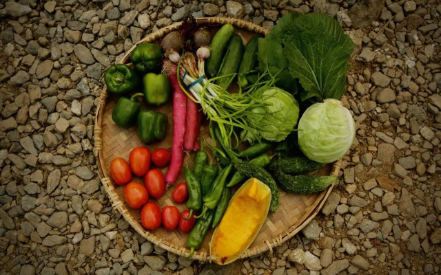 Kalimpong Village Retreat