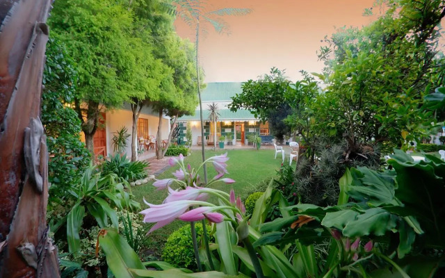 Robertson Backpackers