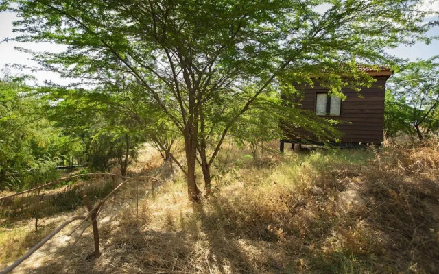 Jordan Ecopark