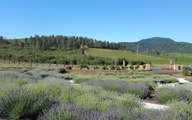 Thorn Hill Vineyard Villas