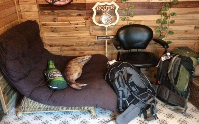 Staying Hostel