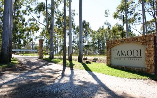 Tamodi Lodge and Stables